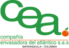 logo_cea_pie